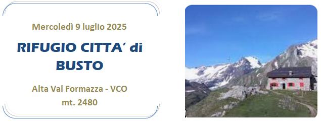 07 09 Citta Busto F